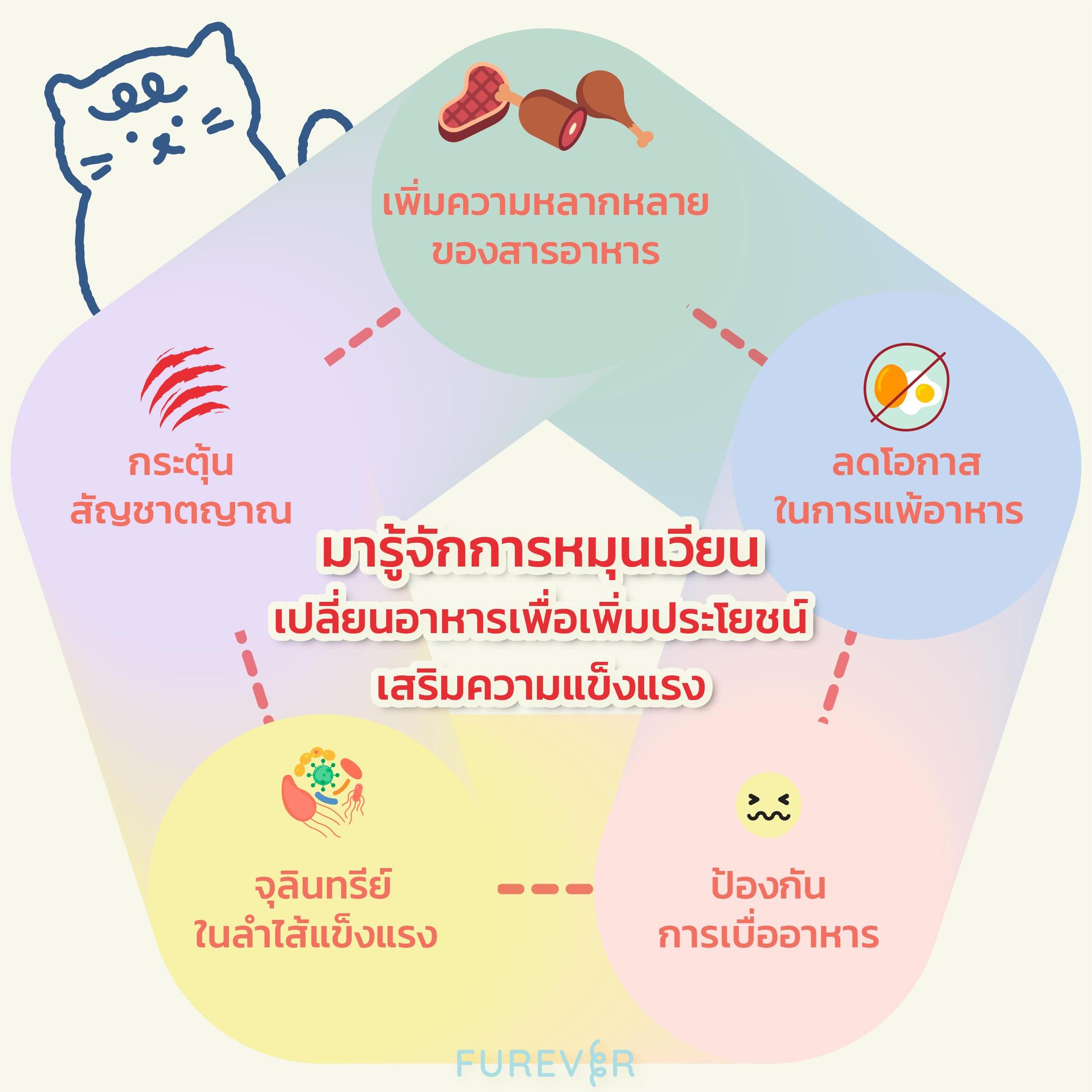 blog-cat-cycle-nutrient