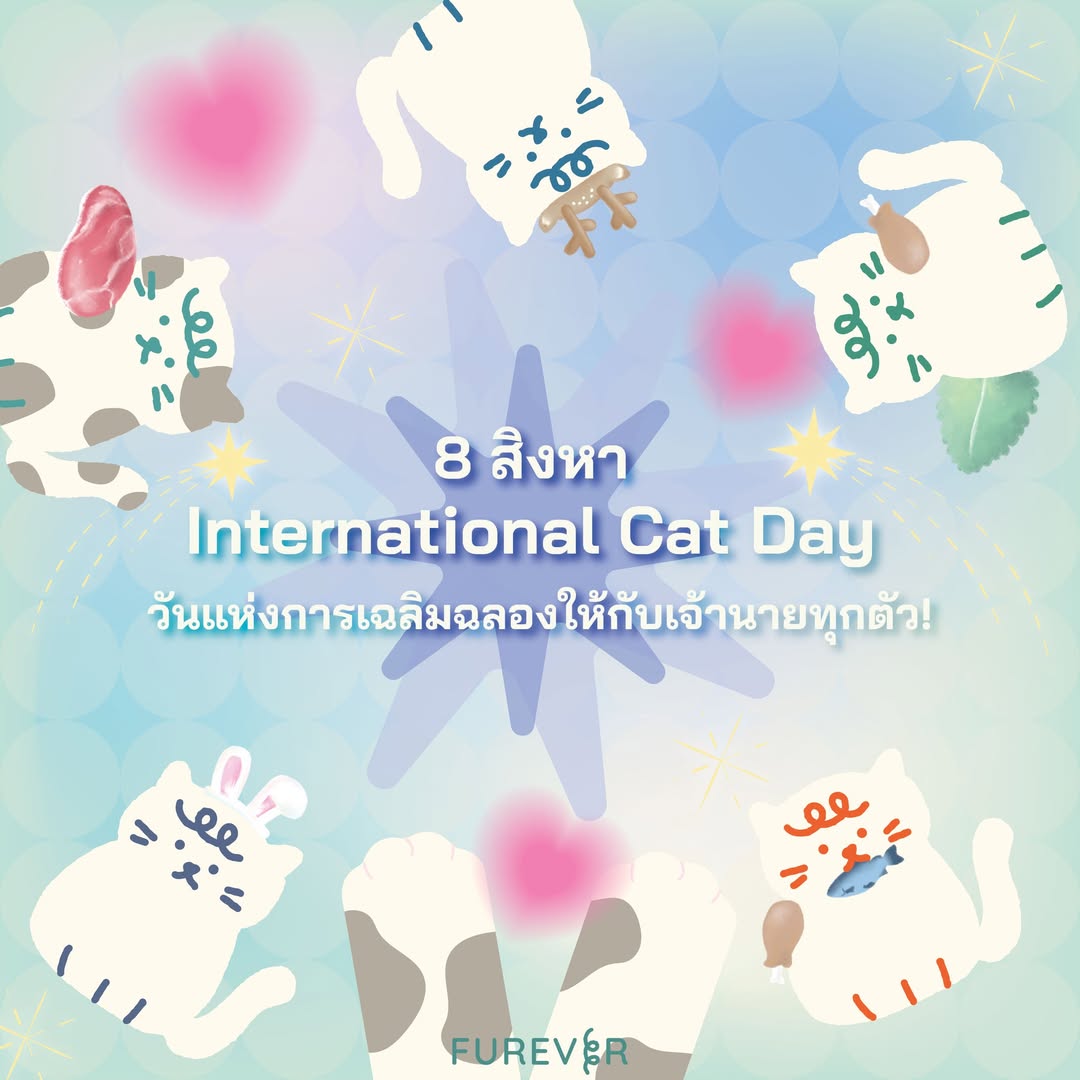 blog-cat-day-8aug