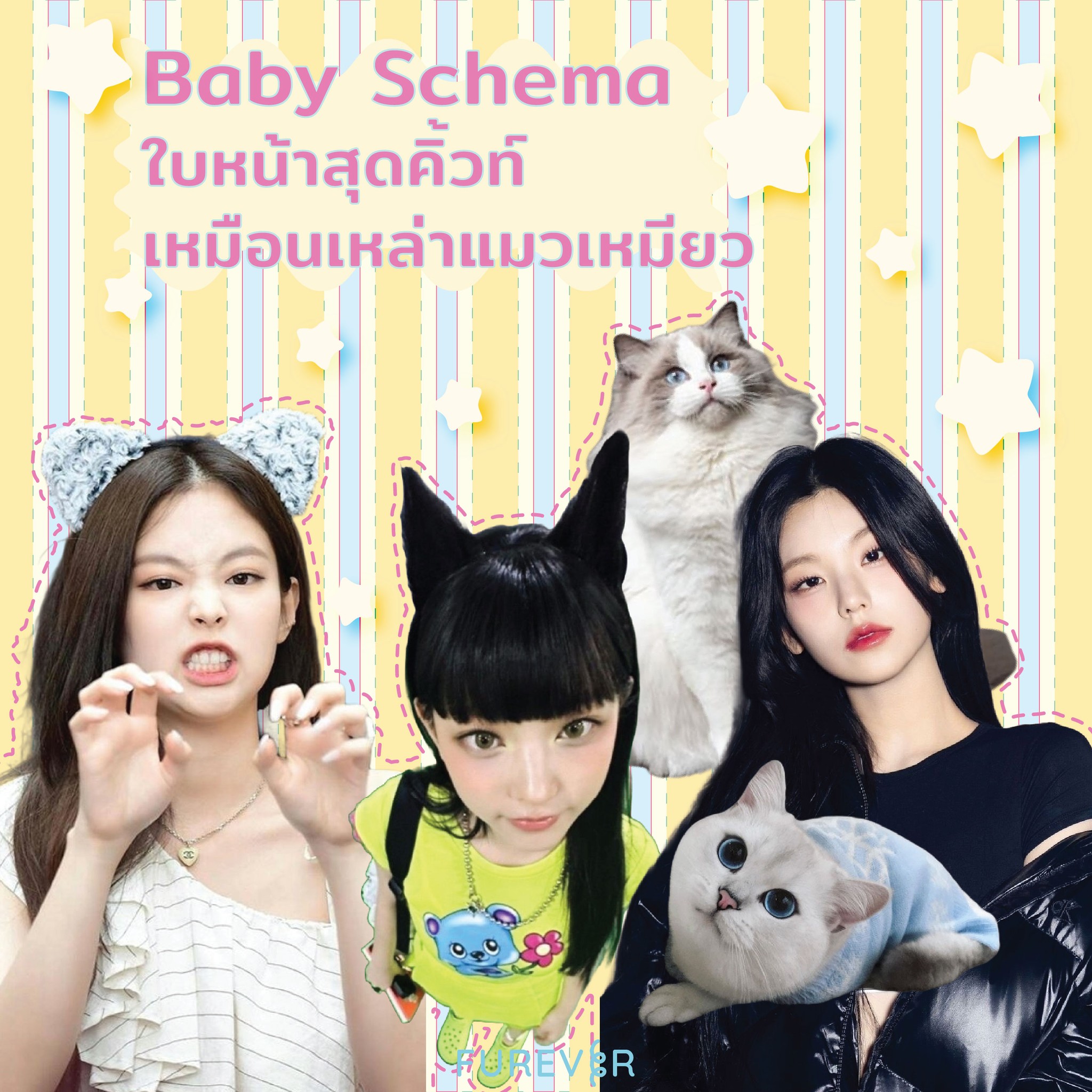 blog-cat-face-cute
