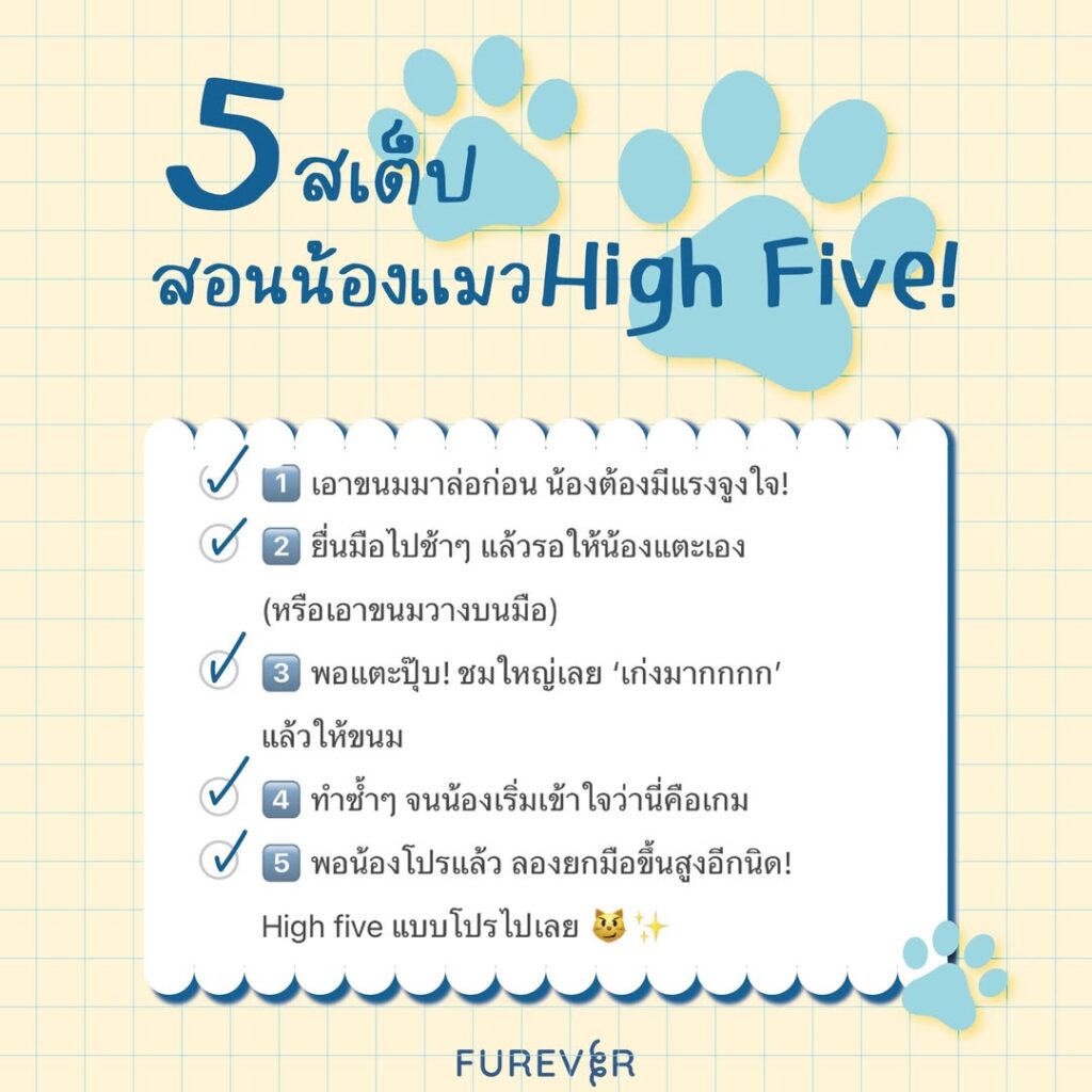 blog-cat-hifive