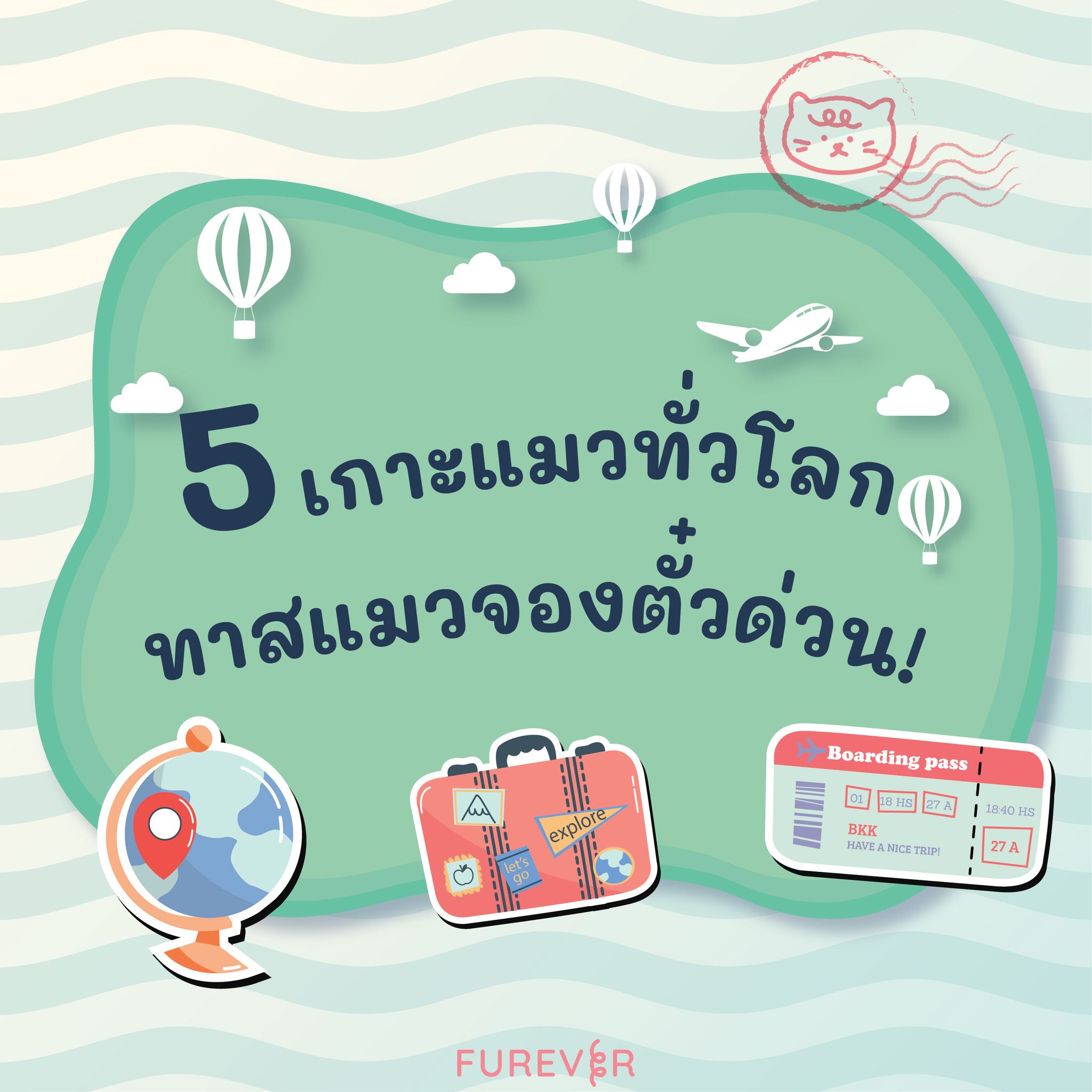 blog-cat-island-1