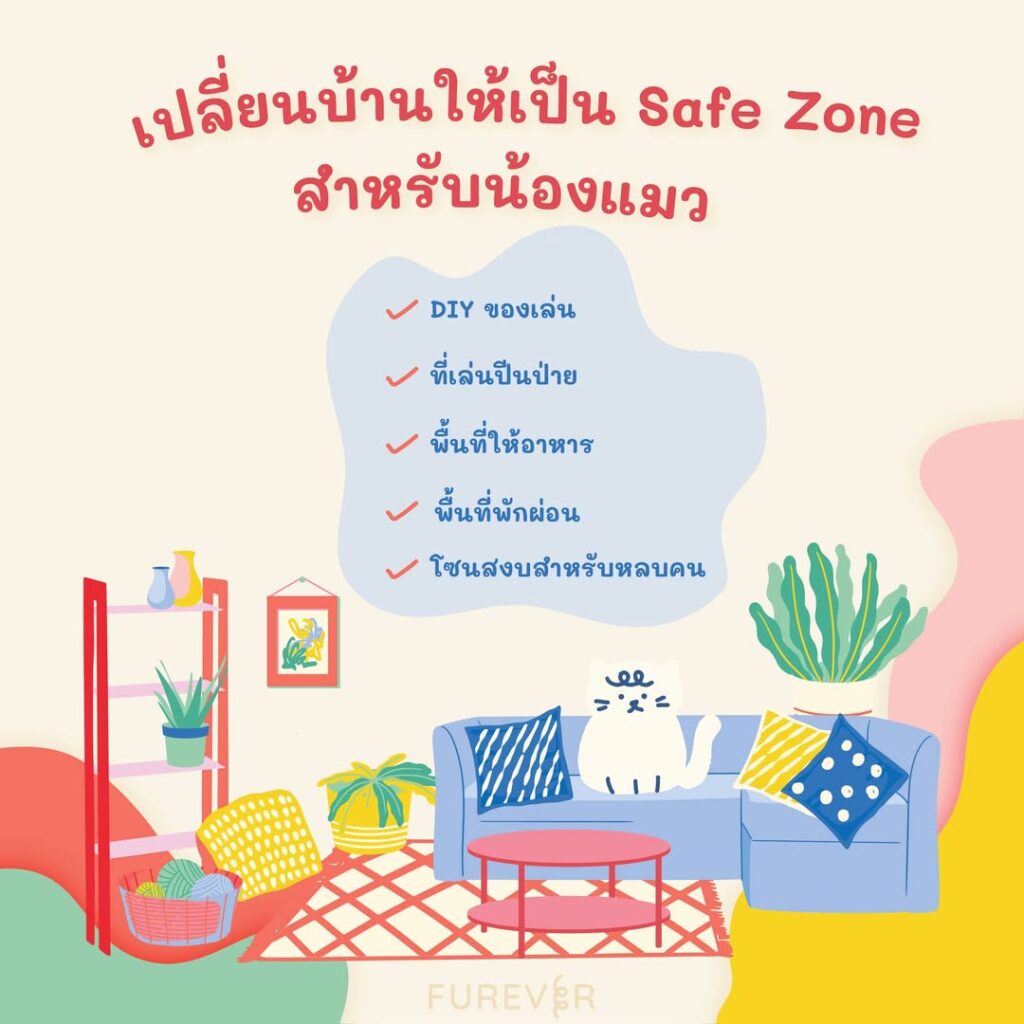 blog-cat-safe-zone