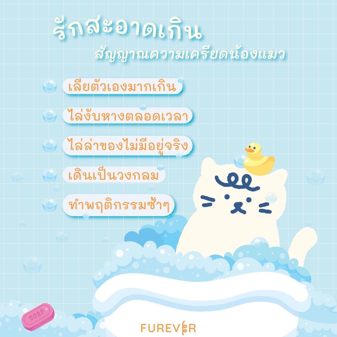 blog-cat-too-clean