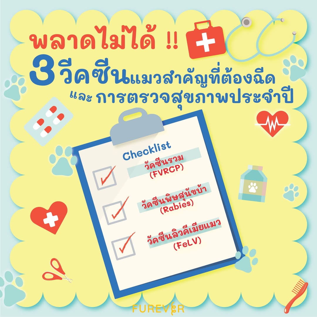 blog-cat-vaccine