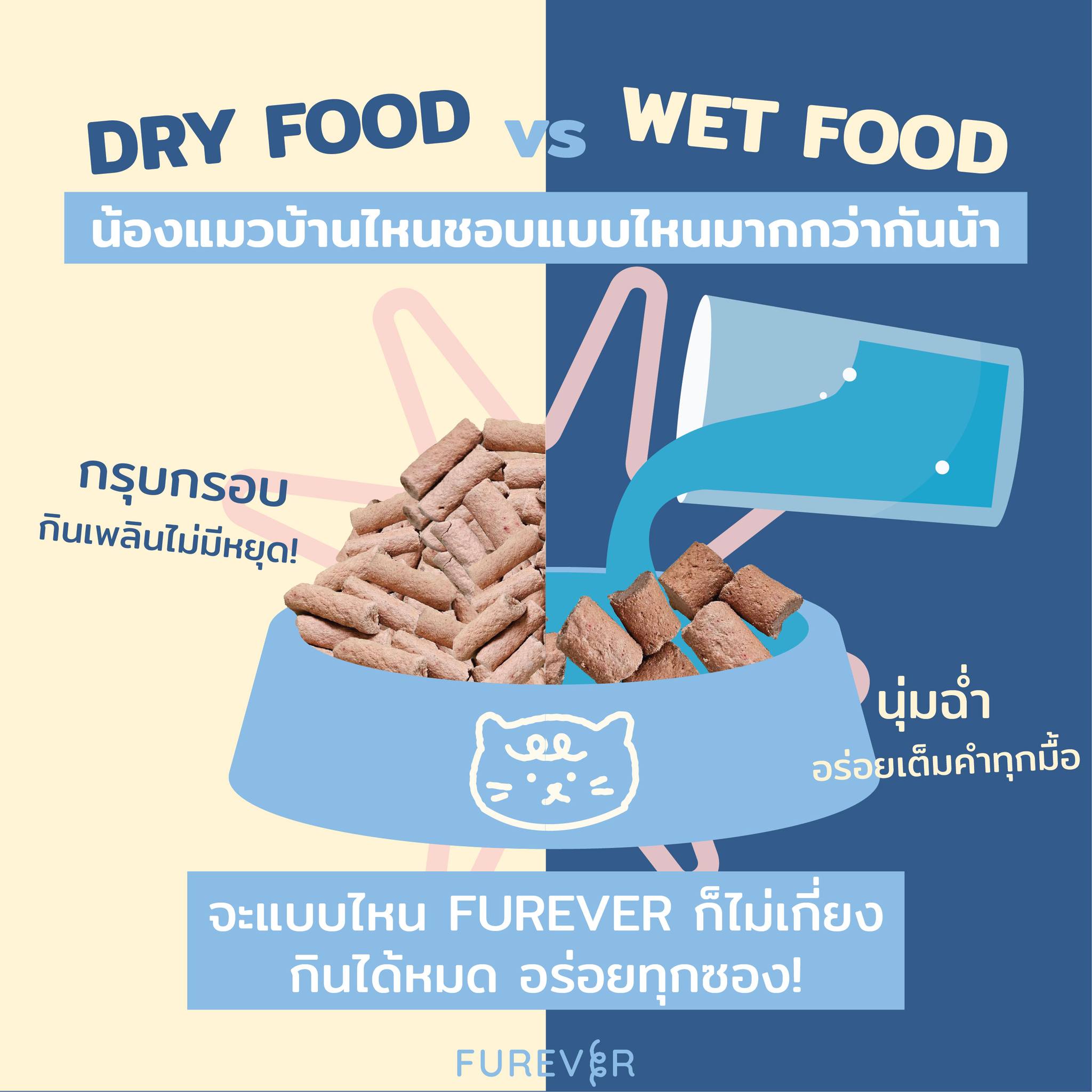 blog-dry-vs-wet-furever