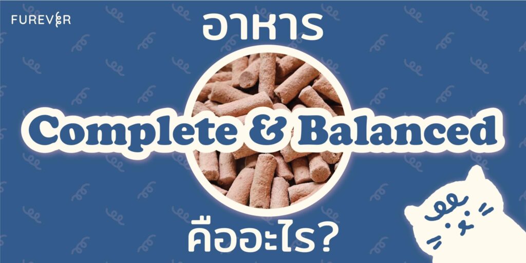 Complete balanced food